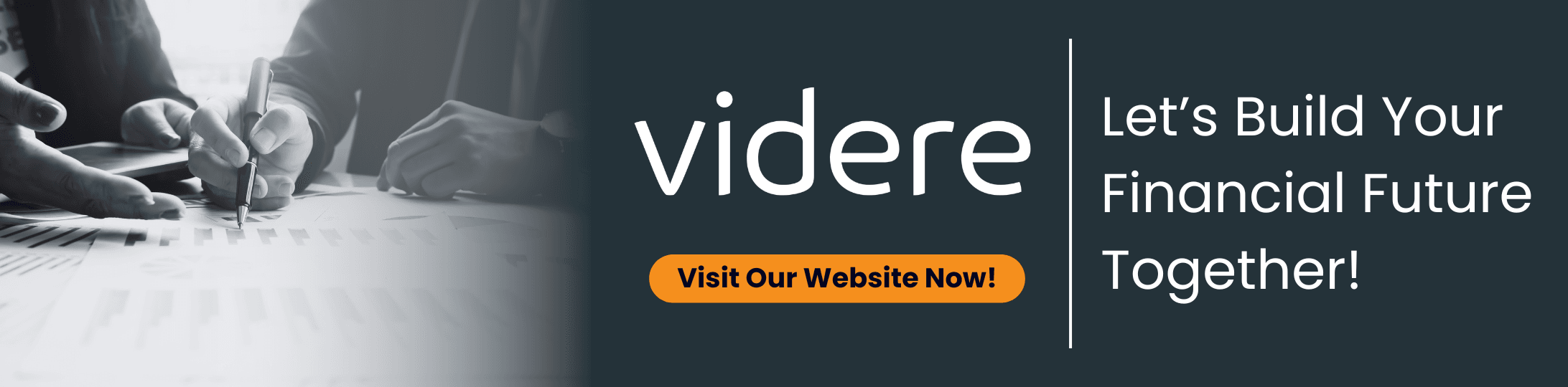 Videre Financial Planning and Wealth Management